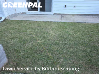 Yard Cutting in Charleston, 29412, Lawn Care by Bdrlandscaping, work completed in Nov , 2025