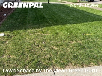 Affordable Landscaping In Toledo,43612,Landscaping Cleanup by The Mean Green Guru , work completed in Apr , 2026