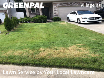 Lawn Cut nearby Gastonia, NC, 