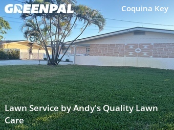 Lawn Cutting nearby St. Petersburg, FL, 