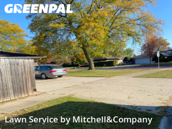 Yard Care in Westland, 48185, Lawn Maintenance by Mitchell&Company, work completed in Nov , 2025