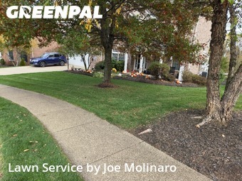 Grass Cut nearby Mc Donald, PA, 