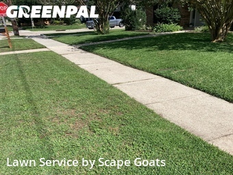 Lawn mowed in Metairie, 70006