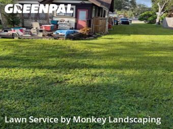 Yard Cutting nearby Largo, FL, 