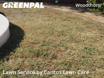 Lawn Cut nearby San Antonio, TX, 