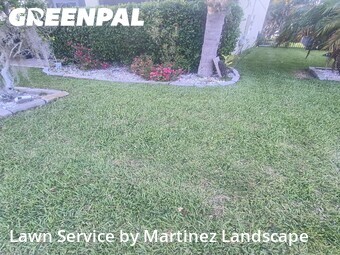 Grass Cutting nearby Tavares, FL, 