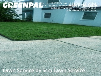 Grass Cut nearby Clearwater, FL, 