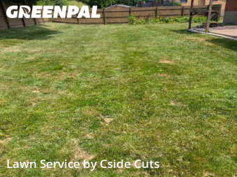 Yard Mowing nearby Allison Park, PA, 