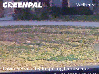 Lawn Mowing Servicein Denver,80210,Lawn Mowing Service by Inspiring Landscape, work completed in Jan , 2026