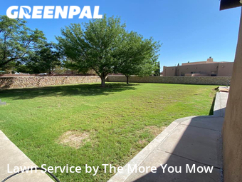 Lawn Care nearby Socorro, TX, 
