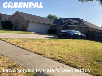 Lawn Maintenance nearby Cedar Hill, TX, 