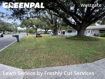 Affordable Landscaping In Lakeland,33815,Landscaping Services by Freshly Cut Services, work completed in Jul , 2026