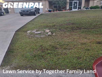 Lawn Maintenance nearby North Port, FL, 