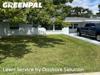 Lawn Mow nearby Dunedin, FL, 