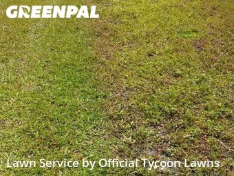 Yard Mowing nearby Palm Coast, FL, 