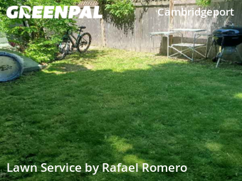 Grass Cut nearby Cambridge, MA, 