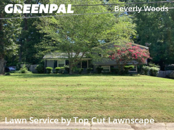 Lawn Mowing Service nearby Charlotte, NC, 
