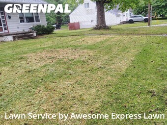 Lawn mowed in Carbondale, 62901