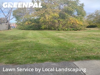 Yard Care in Delaware, 43015, Weed Trimming by Local Landscaping, work completed in Nov , 2025