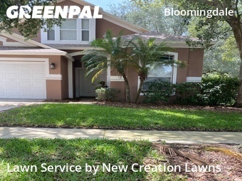 Grass Cut nearby Valrico, FL, 