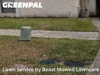 Lawn Cut nearby Tampa, FL, 