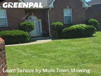 Lawn Mowingin Smyrna,37167,Grass Cut by Mule Town Mowing , work completed in Jun , 2026