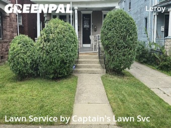 Lawn Cut nearby Buffalo, NY, 