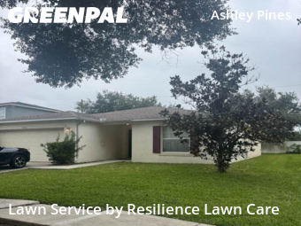 Yard Mowing nearby Wesley Chapel, FL, 