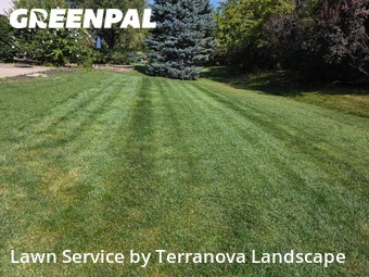 Lawn Management in Bartlett, 60103, Yard Care Services by Terranova Landscape, work completed in Nov , 2025