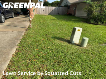 Yard Cutting nearby Lafayette, LA, 