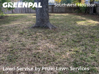 Lawn Cutin Bellaire,77401,Lawn Mowing by Prizel Lawn Services, work completed in Jan , 2026