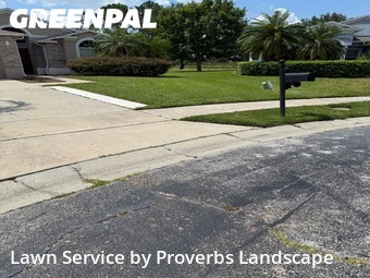 Lawn Mow nearby Orlando, FL, 