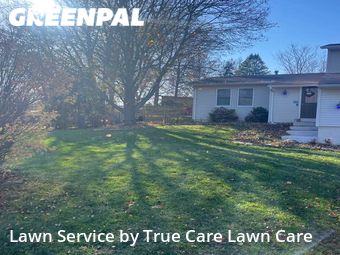 Yard Cutting nearby Mahomet, IL, 