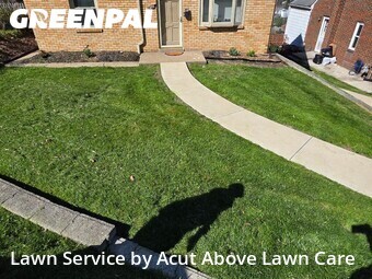 Grass Cut nearby Pittsburgh, PA, 