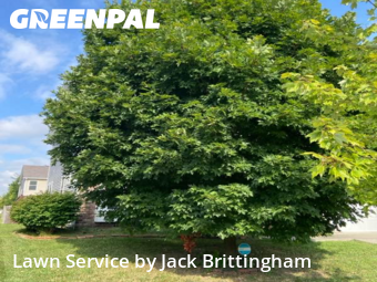 Lawn Maintenance nearby Noblesville, IN, 