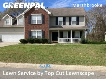 Grass Cut nearby Matthews, NC, 