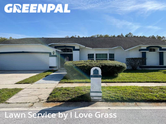 Grass Cut nearby Land O' Lakes, FL, 