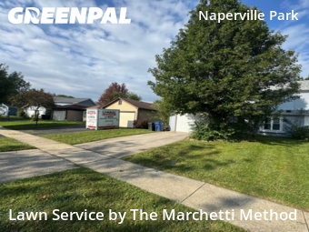 Lawn Cutting nearby Naperville, IL, 