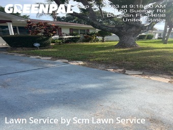 Grass Cutting nearby Dunedin, FL, 