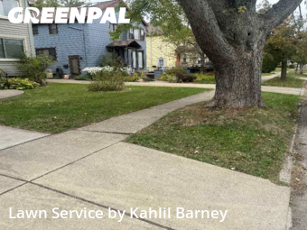 Lawn Management in Buffalo, 14226, Yard Work by Kahlil Barney, work completed in Oct , 2025