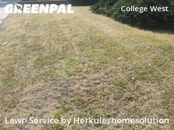 Lawn Service nearby San Diego, CA, 