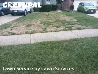 Lawn Service nearby Tomball, TX, 
