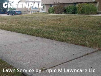 Grass Cut nearby Kansas City, MO, 
