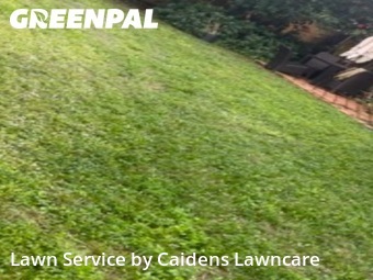 Lawn mowed in Deerfield Beach, 33442