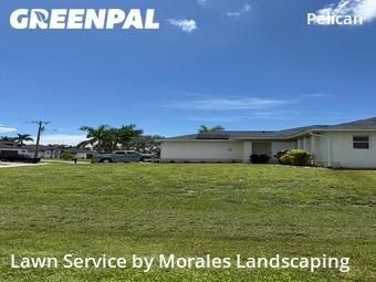 Yard Cutting nearby Cape Coral, FL, 