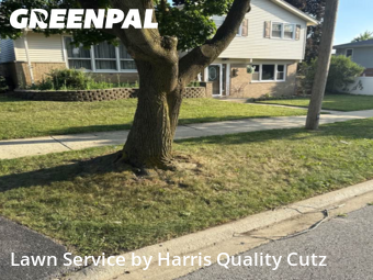 Yard Cutting nearby Oak Lawn, IL, 