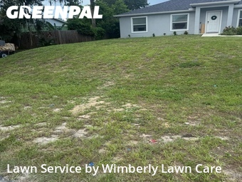 Grass Cutting nearby Port Charlotte, FL, 