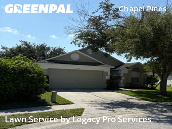 Lawn Care Service nearby Wesley Chapel, FL, 