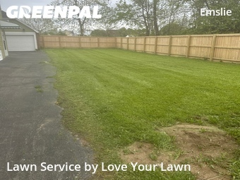 Yard Mowing nearby Buffalo, NY, 