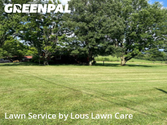 Yard Mowing nearby Belle Vernon, PA, 